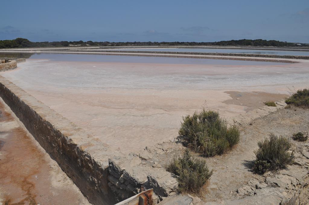 Viviendas Turisticas S'Estanyol La Savina  Luaran gambar