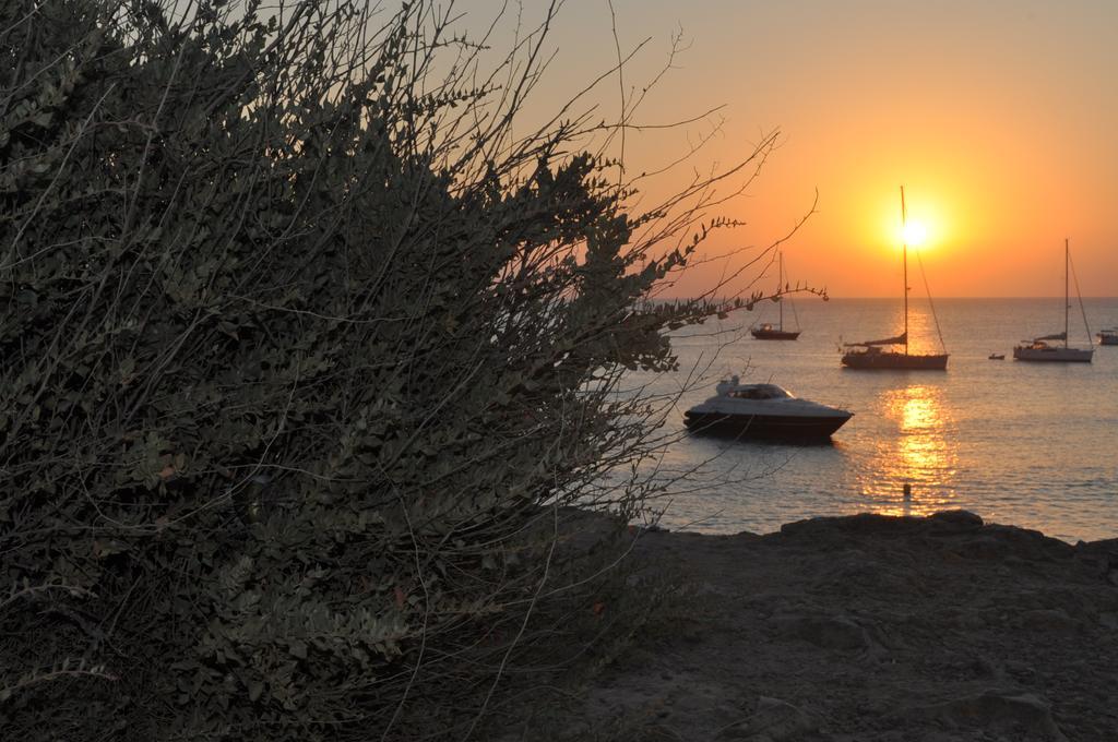 Viviendas Turisticas S'Estanyol La Savina  Luaran gambar