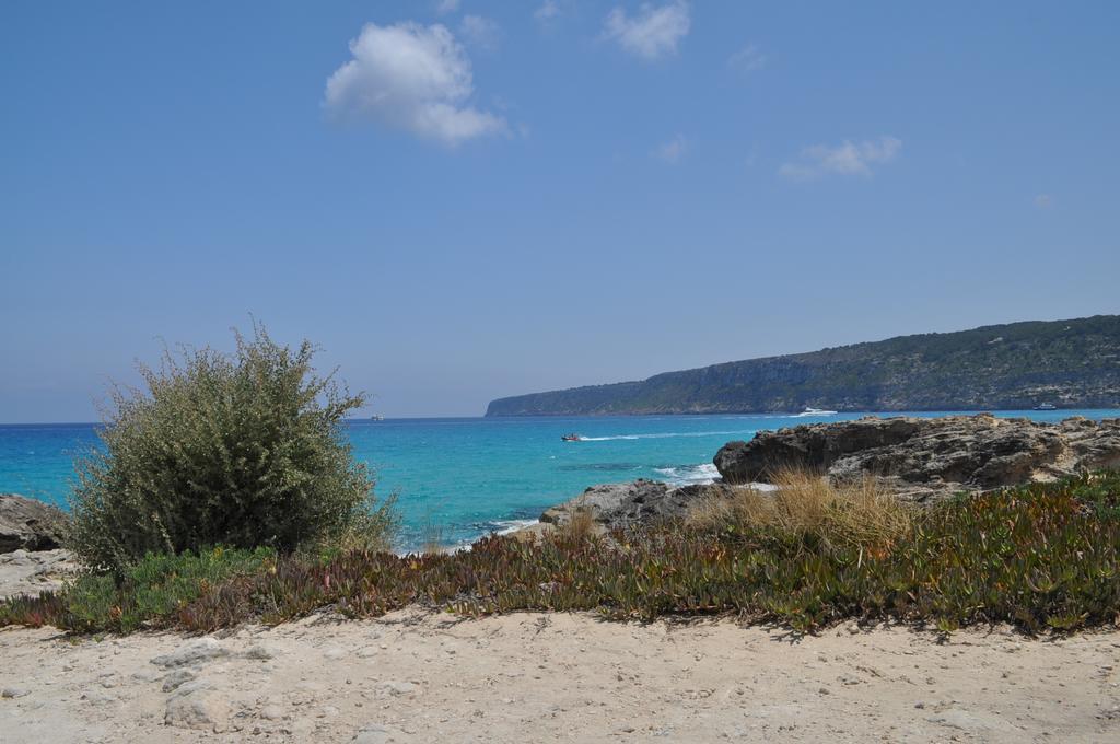 Viviendas Turisticas S'Estanyol La Savina  Luaran gambar